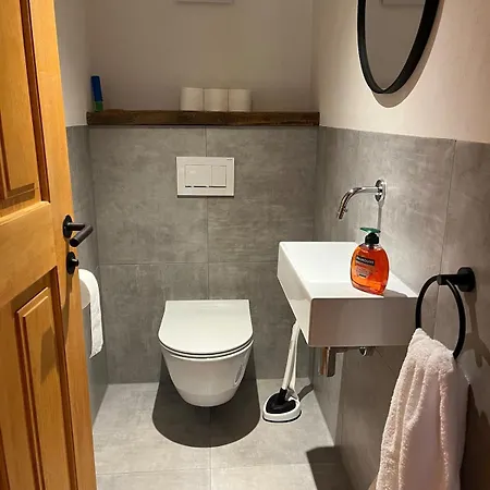 Carpenters House In Historic Village Schnepfau