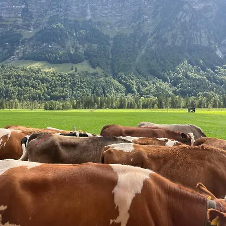 Carpenters House In Historic Village *