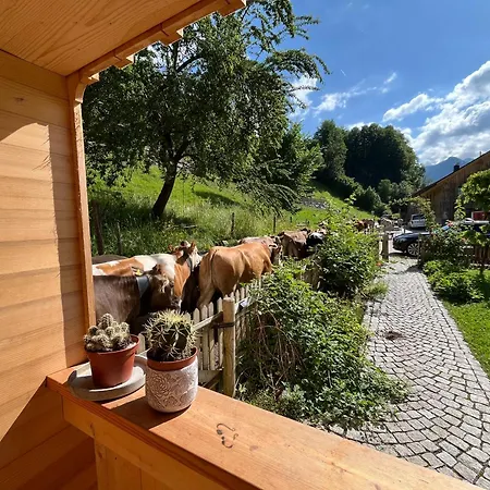 Carpenters House In Historic Village Schnepfau