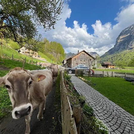 Daire Carpenters House In Historic Village *