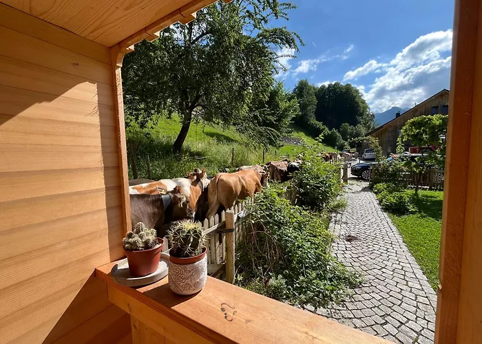 Carpenters House In Historic Village Schnepfau